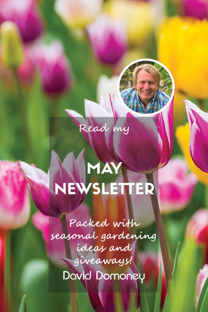 May 24 newsletter feature website