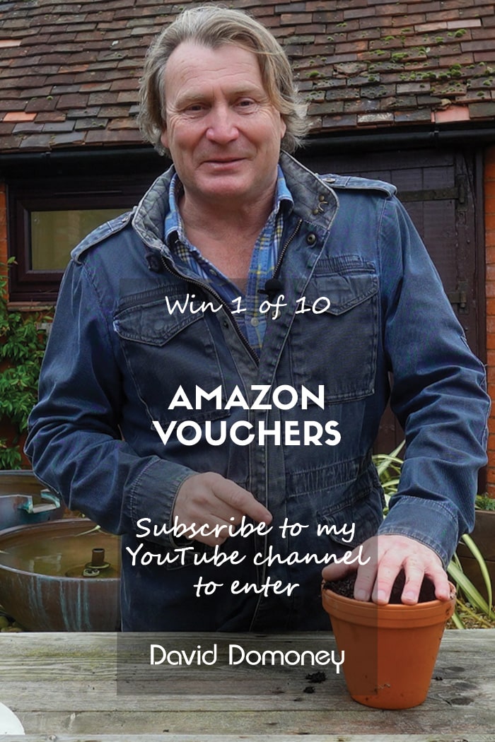 Amazon Vouchers
