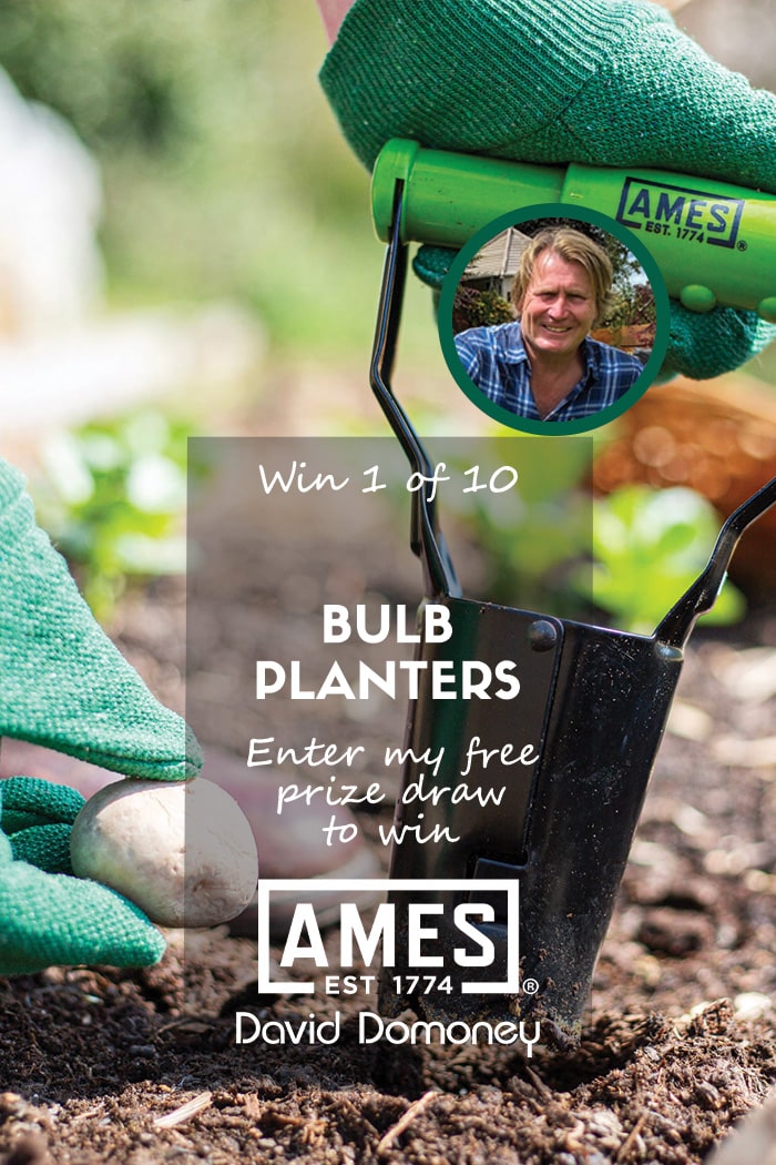Hand Bulb Planter