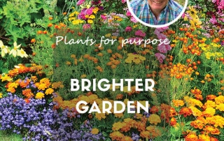 PLants for a brighter garden feature april 2025