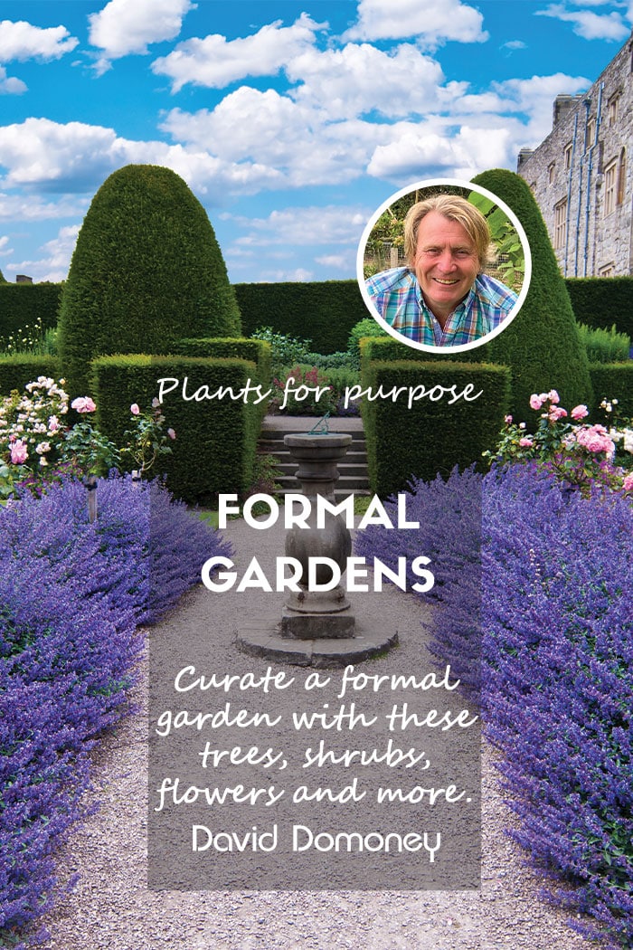 Plants for formal gardens feature
