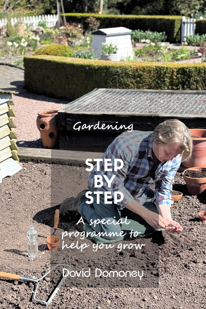 Step by Step Gardening Website Cover