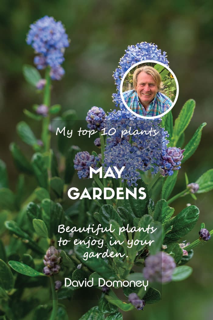 top ten plants for may 2025 gardens