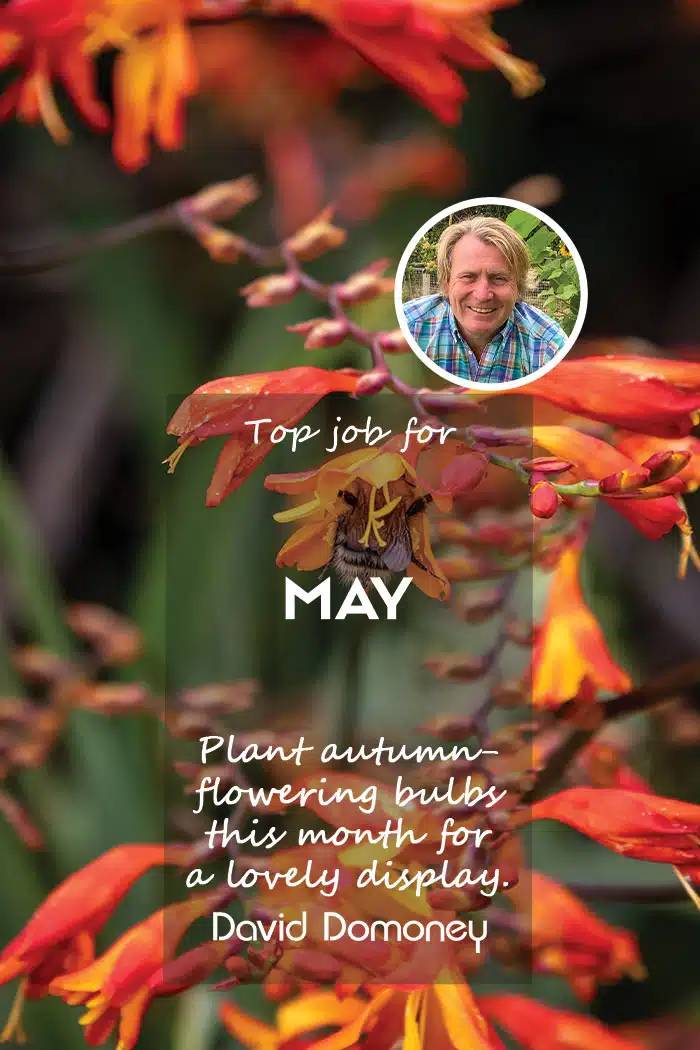 Top job for May 2025 feature