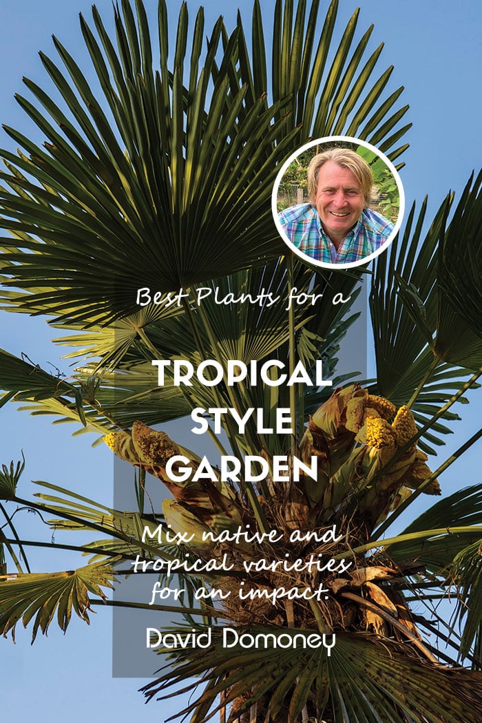 tropical style garden feature
