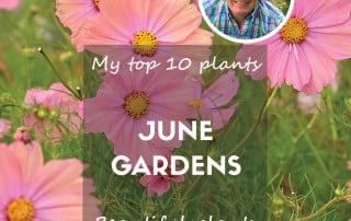 Feature top ten plants June gardens 2025