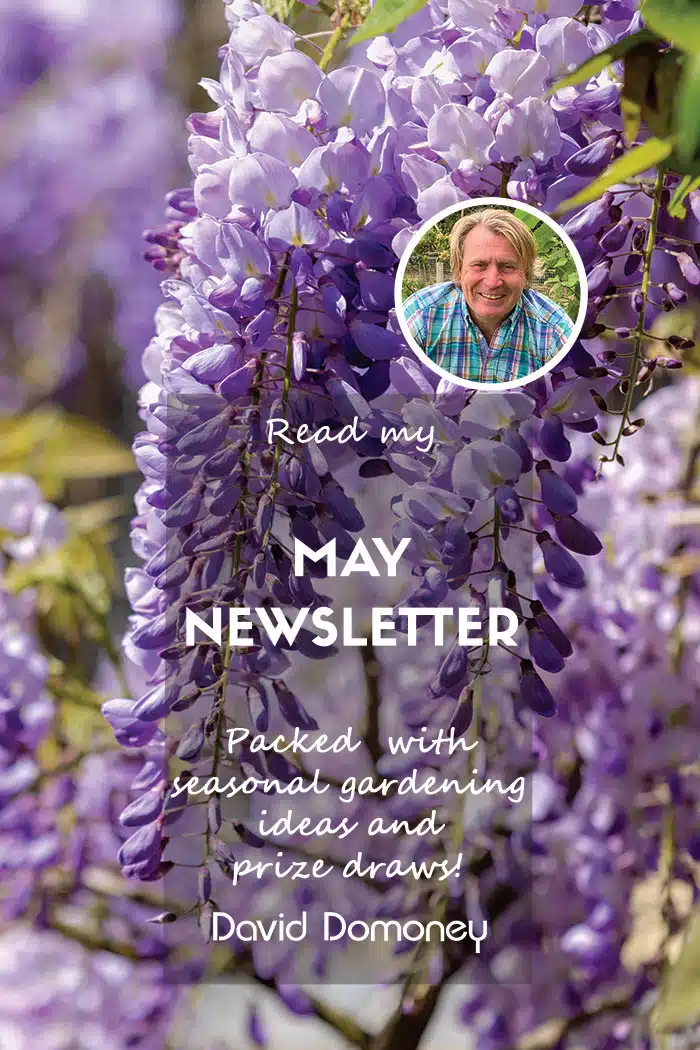 May newsletter blog feature