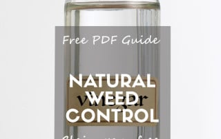 Homemade weed control