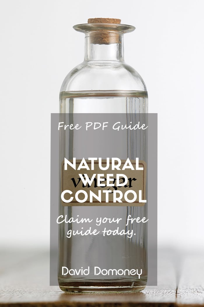 Homemade weed control