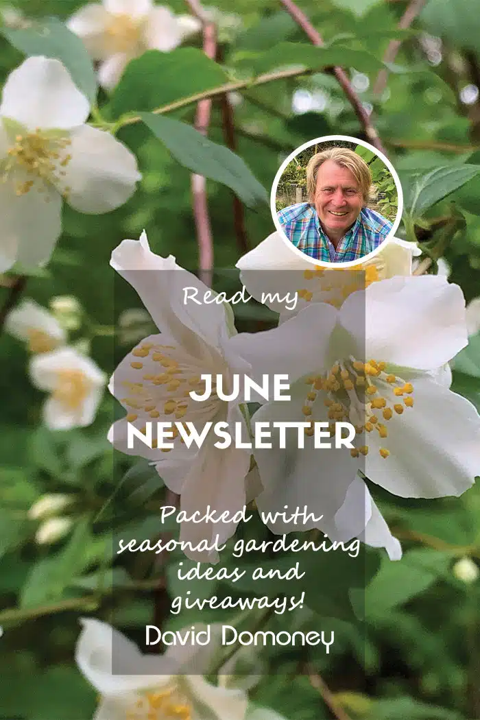 June newsletter feature website 2025
