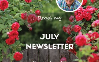 July Newsletter website feature