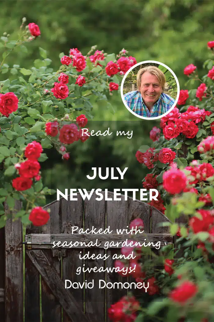 July Newsletter website feature