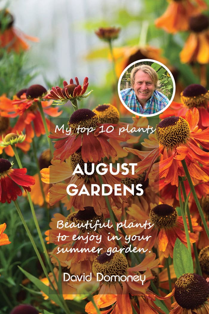 Top ten plants for august 2025