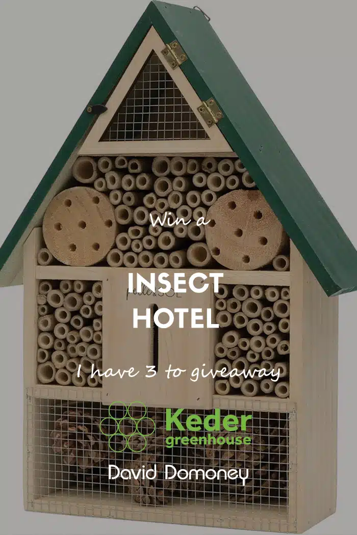 Win 1 of 3 insect hotels