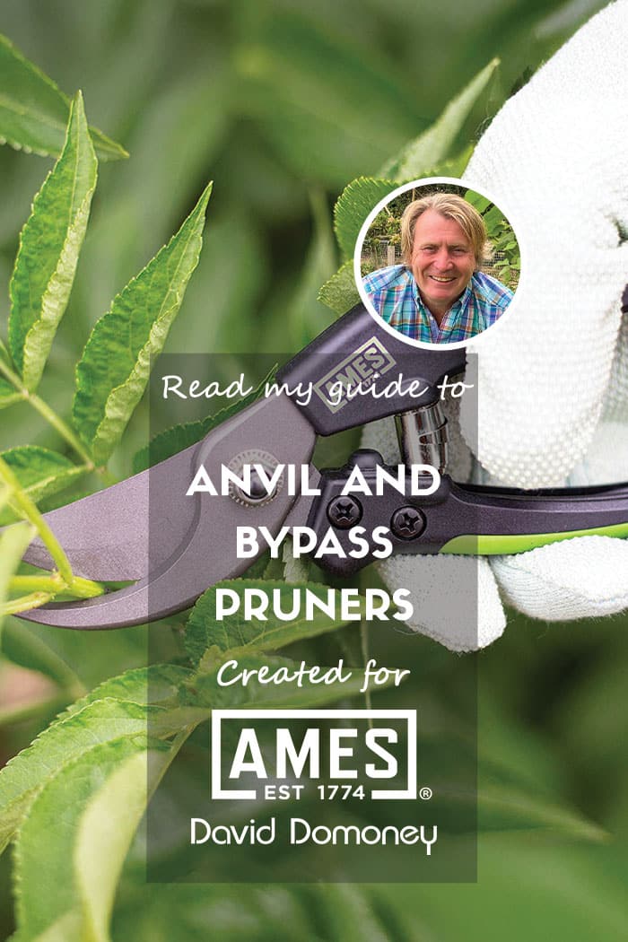 Ames tools july blog 2025 feature