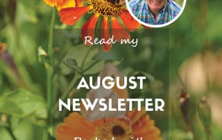 August newsletter 2025 website feature