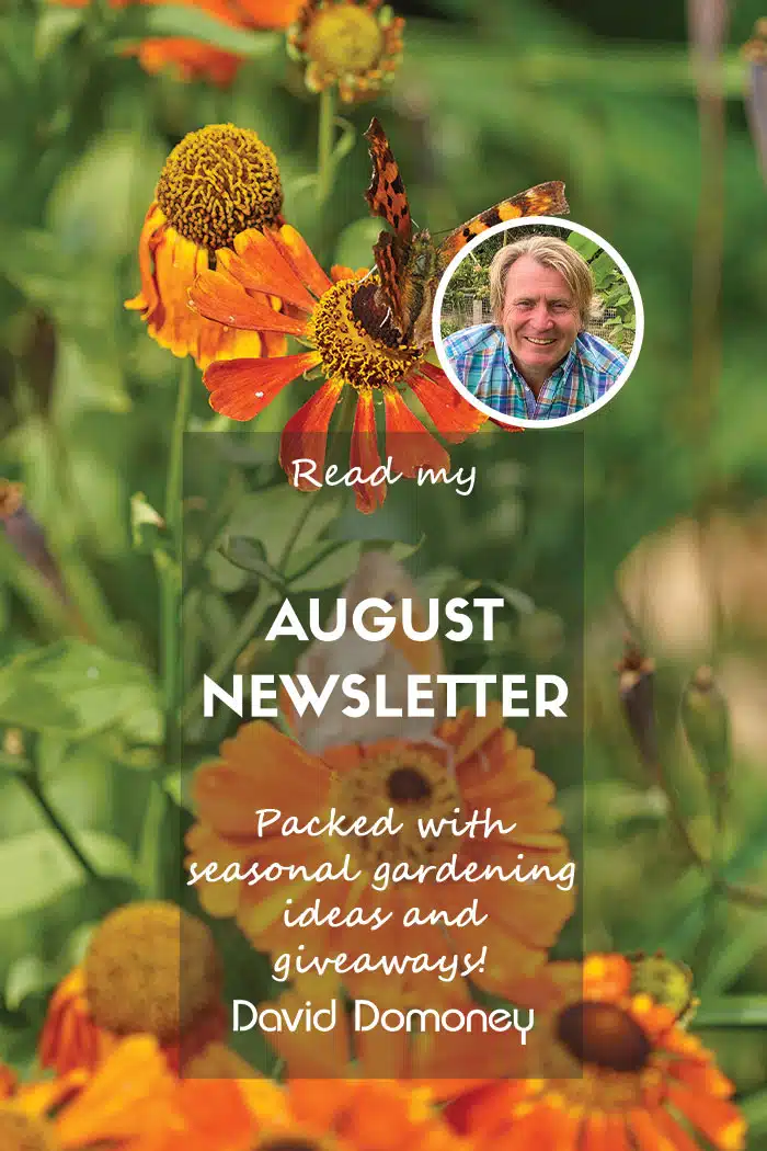 August newsletter 2025 website feature