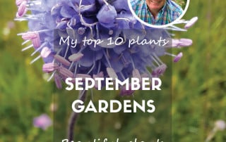september top 10 feature 2025
