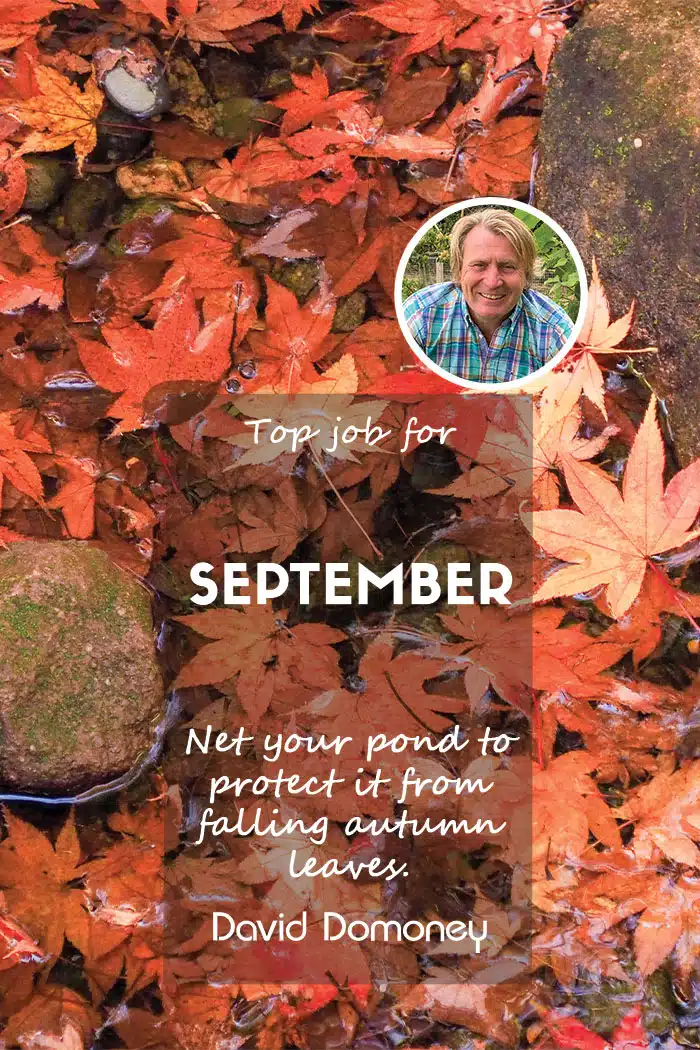 Top job for september net ponds feature