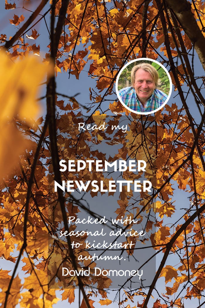 September newsletter website feature
