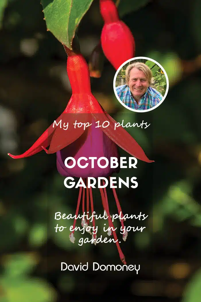 Top 10 October 2025 Feature