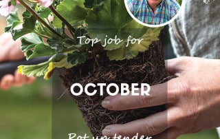 top job feature
