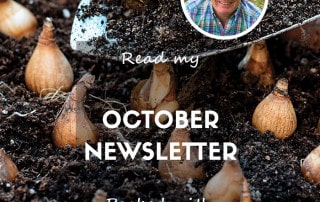Website feature October 2025 Newsletter