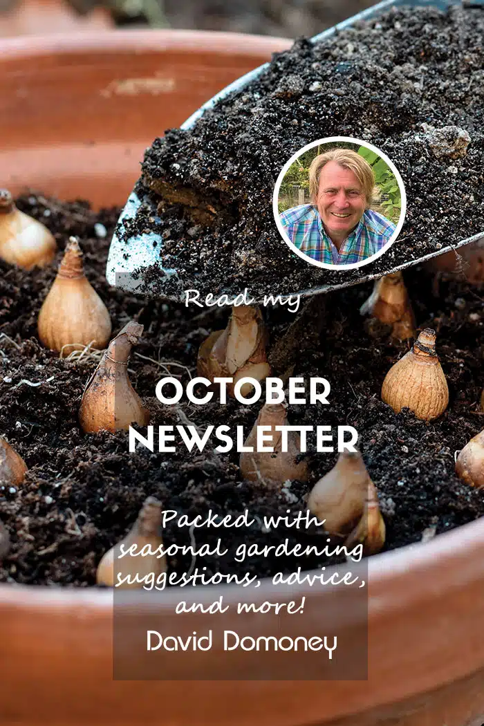 Website feature October 2025 Newsletter