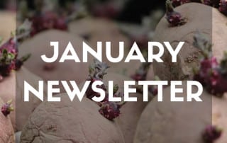 Newsletter feature website January 2026
