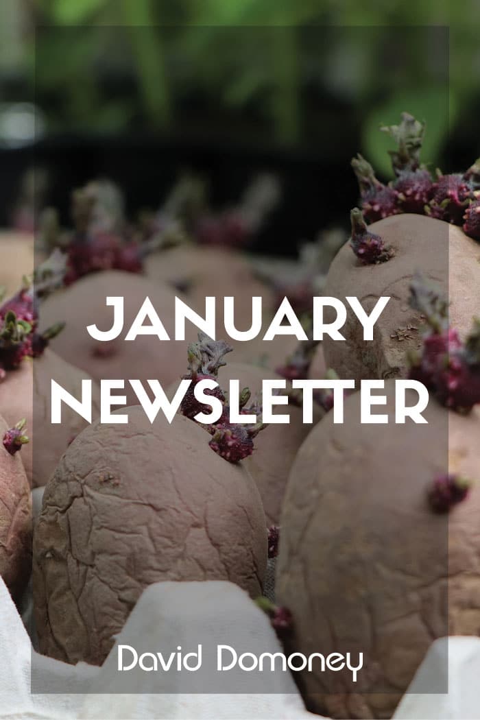 Newsletter feature website January 2026
