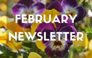 February Newsletter 2026