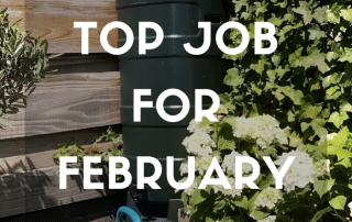 Top Job February 2026 Feature