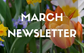 March 2026 Newsletter website feature