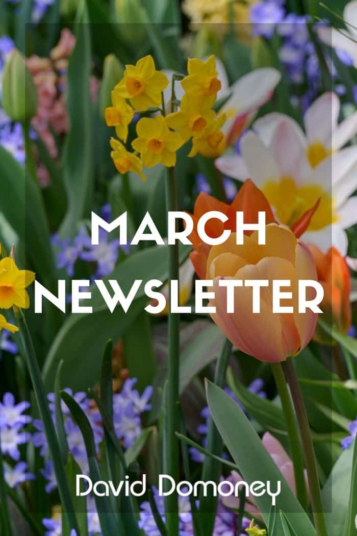 March 2026 Newsletter website feature