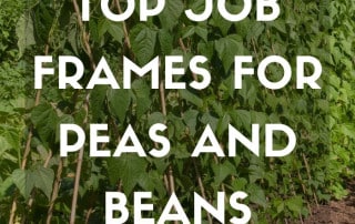 Top Job bean pea frame