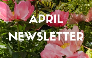 April 2026 Newsletter Feature