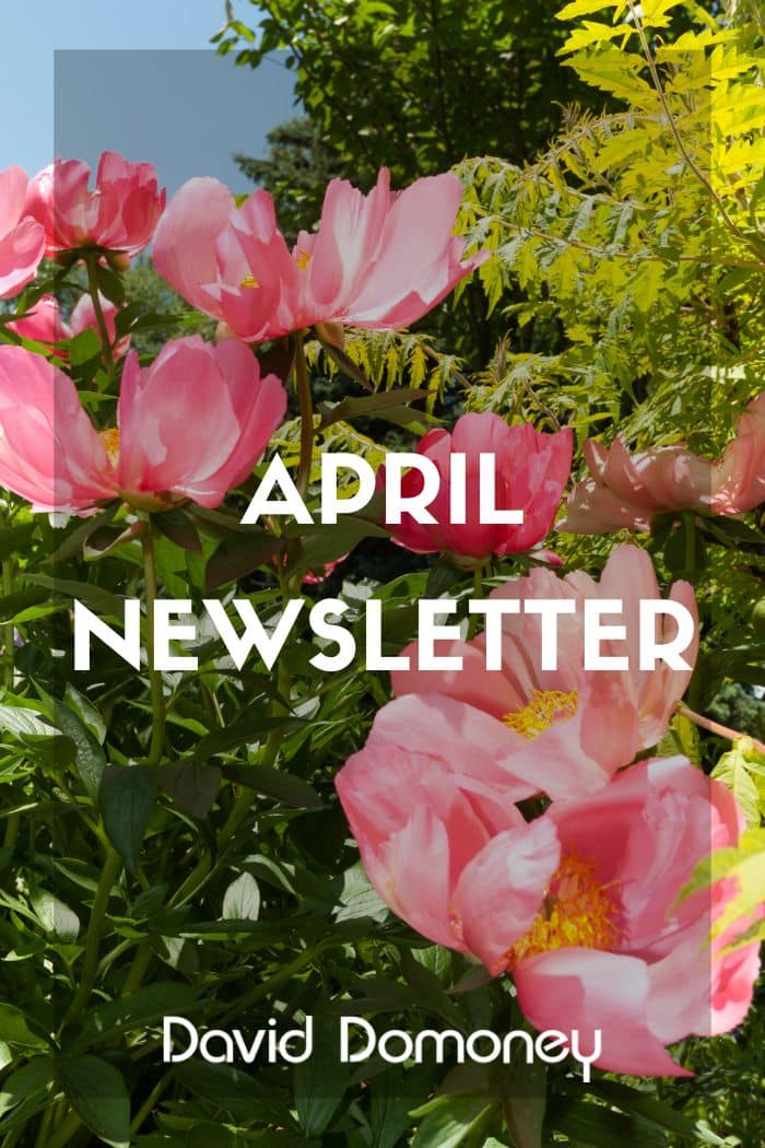 April 2026 Newsletter Feature