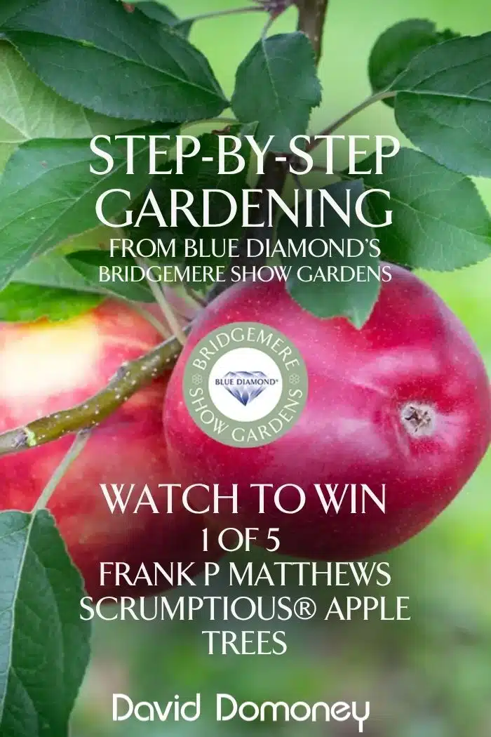 Step by Step Prize Draw Frank Matthews Episode 21 Feature