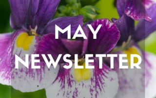 May 2026 Newsletter feature