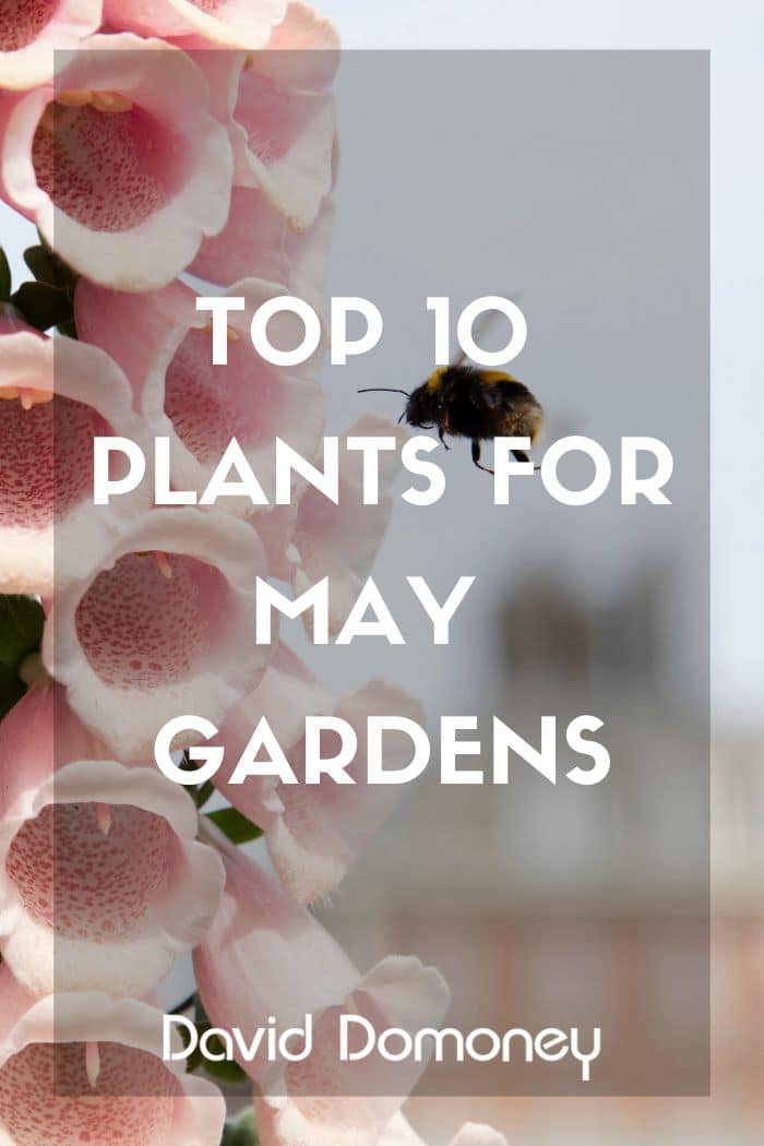 Top 10 May 2026 Feature