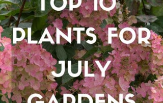 top 10 July 2026 feature