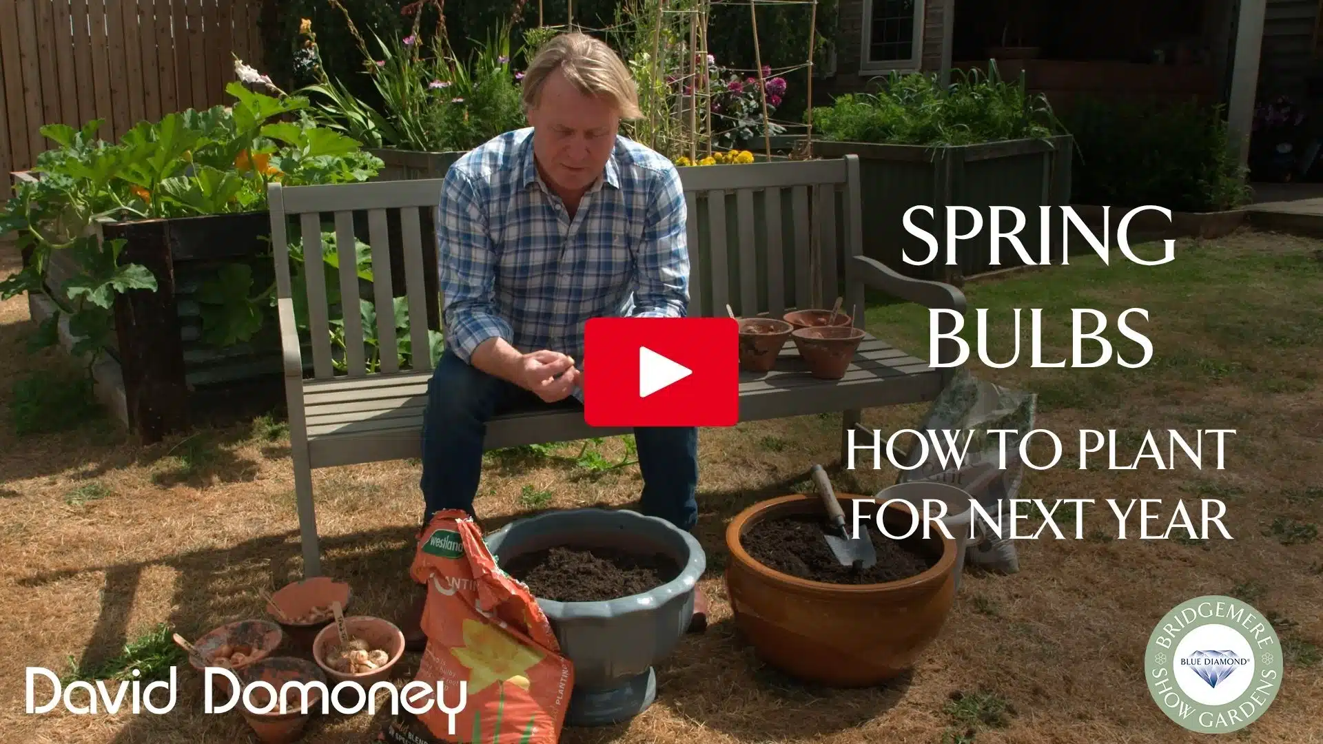 Spring bulb containers clipping sbs 20