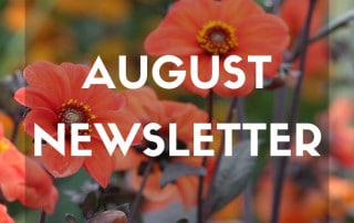 August 2026 Newsletter feature