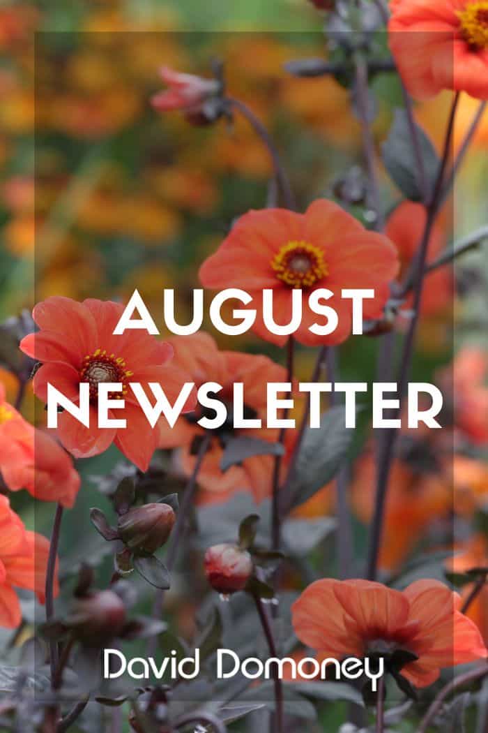 August 2026 Newsletter feature