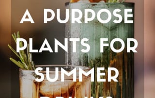 Plants for summer drinks august 2026