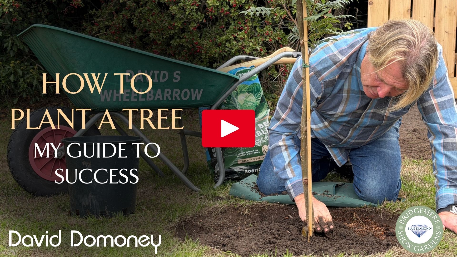 How to plant a tree SbS 21