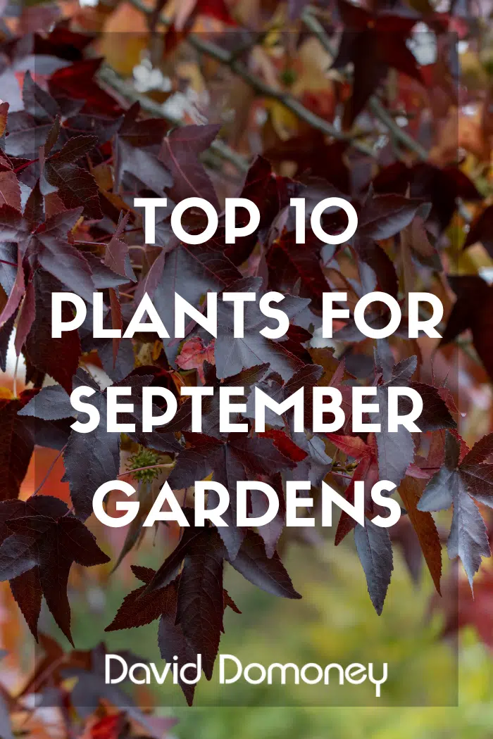 Top 10 September 2026 Blog