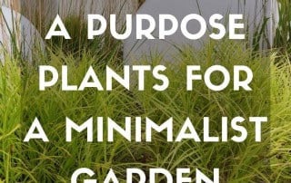 Plants for a purpose plants for a minimalist garden october 2026 feature