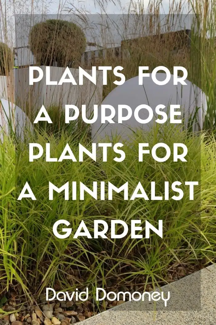 Plants for a purpose plants for a minimalist garden october 2026 feature